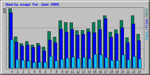 Hourly usage for June 2005